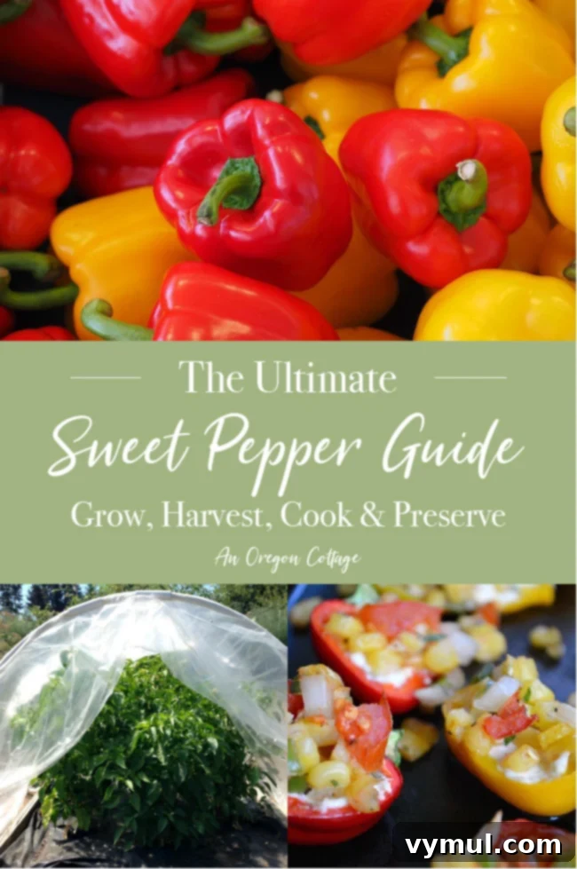 Tatlı Biber Rehberi: Yetiştirmeden Saklamaya Tüm Sırlar 10 ultimate sweet pepper guide pin image