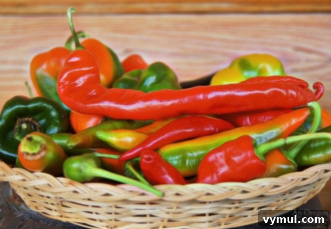 Harvested Hot Peppers - A colorful bounty of freshly picked hot peppers.