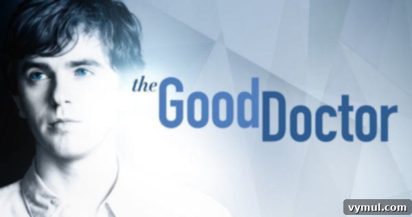 My Favorite Finds, Vol. 7: Cascade Lakes Adventures, Spiralized Delights, Eco-Friendly Coffee & Bookish Bliss 8 Collage of popular TV shows and movie stills to watch this month