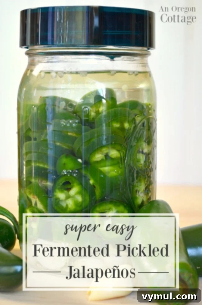 Effortless Fermented Jalapeño Pickles 2 Sliced Fermented Pickled Jalapeños in a glass jar, ready for fermentation