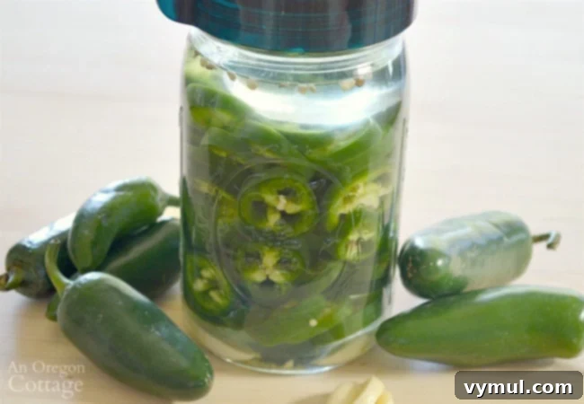 Effortless Fermented Jalapeño Pickles 3 Close-up of freshly sliced fermented pickled jalapeños in a clear glass jar before fermentation