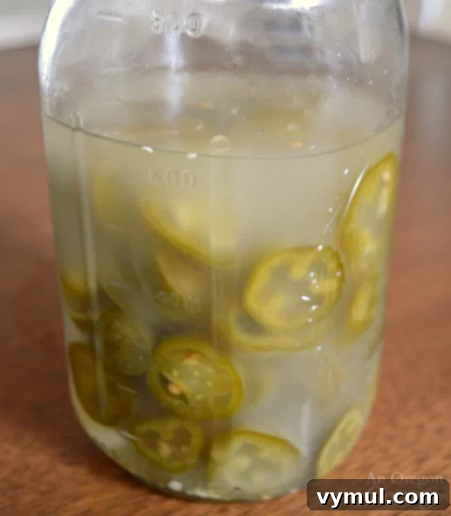 Effortless Fermented Jalapeño Pickles 8 Fermented Pickled Jalapenos after 1.5 weeks, showing natural color change and cloudy brine