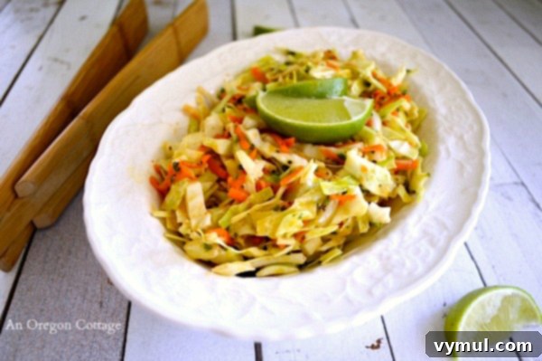 Beyond the Binge: The Cabinet That Broke Jami 7 Spicy-Cumin-Lime-Slaw