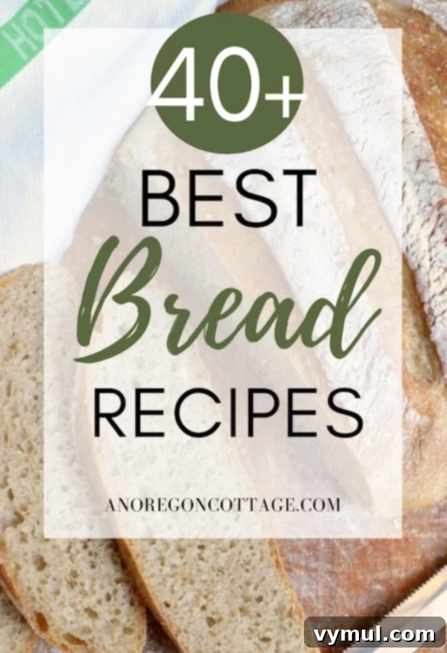 Effortless Bread Baking Basic Loaves to Sourdough 2 best bread recipes pin