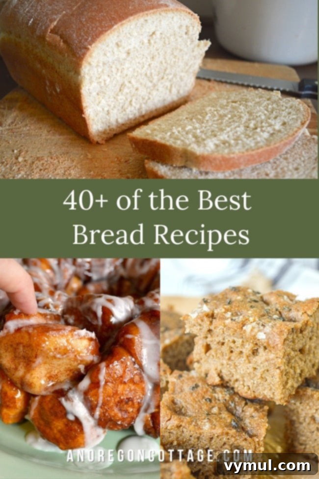 Effortless Bread Baking Basic Loaves to Sourdough 11 40 best bread recipes