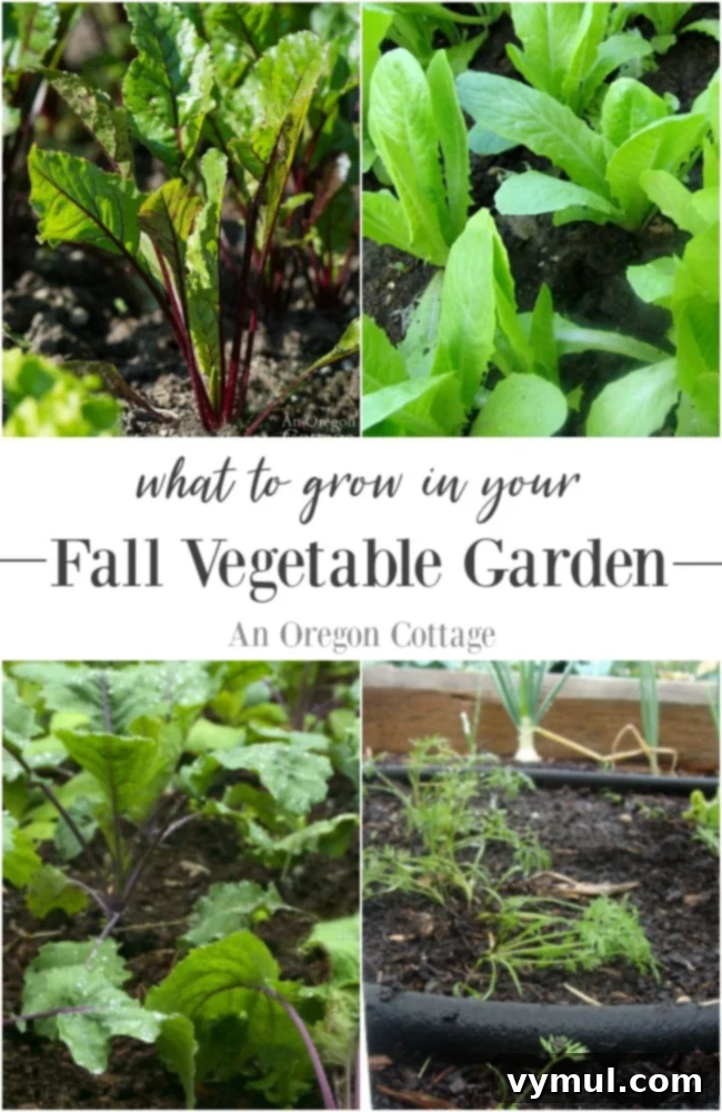 What to Grow in Your Productive Fall Vegetable Garden
