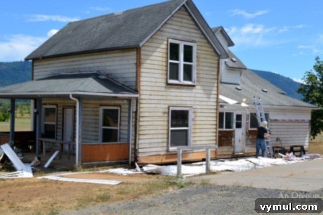 Gophers Gone Wild, Farmhouse Progress, and Kitchen Calamities 5 Removing vinyl siding from farmhouse, revealing original structure