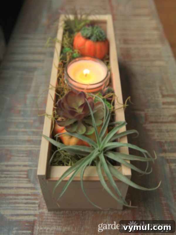 Fall Farmhouse Focal Points Cozy Cottage Centerpieces 18 Wood Box Thanksgiving Airplant and Succulent Centerpiece