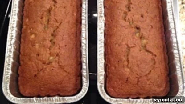 A warm, perfectly baked loaf of Eggless Banana Bread, demonstrating that quick breads can be just as delicious without eggs.