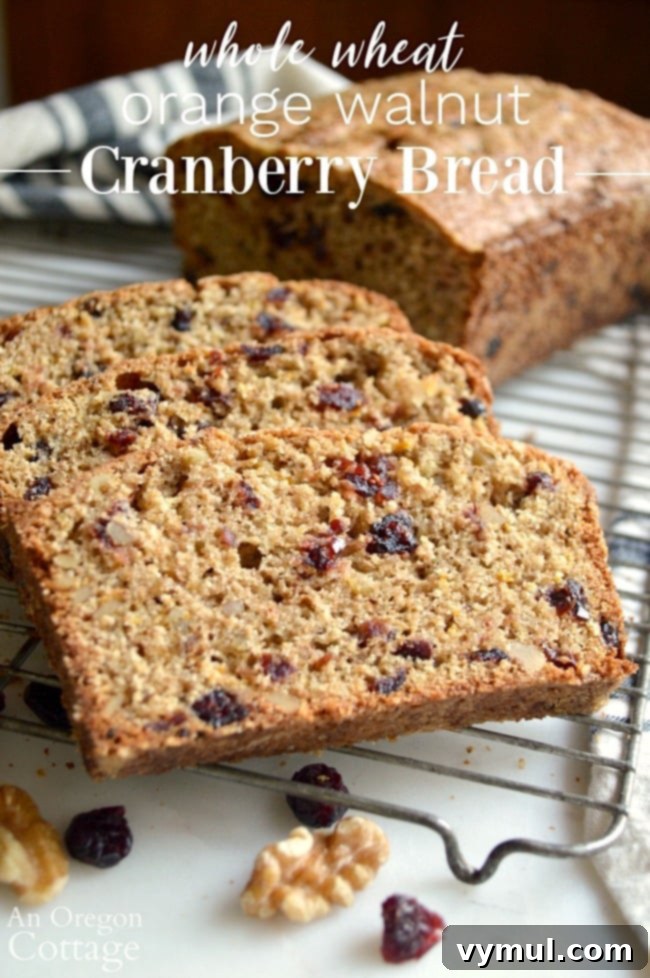 Zesty Orange Cranberry Whole Wheat Delight 2 Whole Wheat Orange Walnut Cranberry Bread Recipe