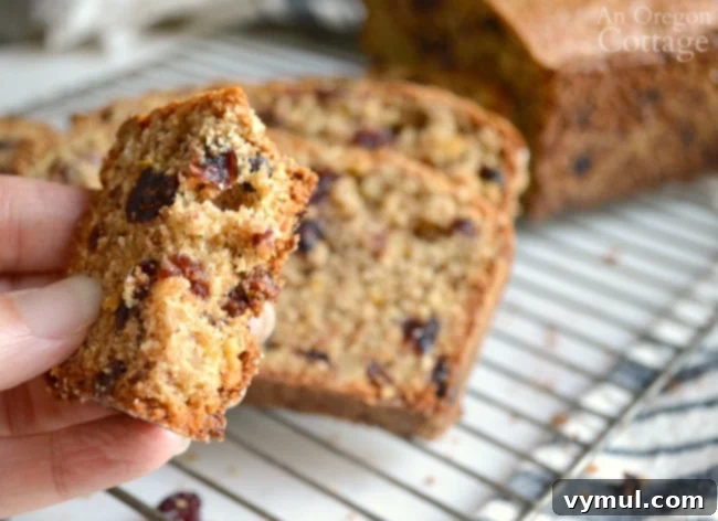 Zesty Orange Cranberry Whole Wheat Delight 3 Cranberry Bread Recipe piece