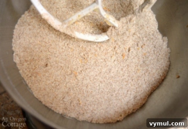 Zesty Orange Cranberry Whole Wheat Delight 4 Cranberry Bread Recipe-mixing dry ingredients