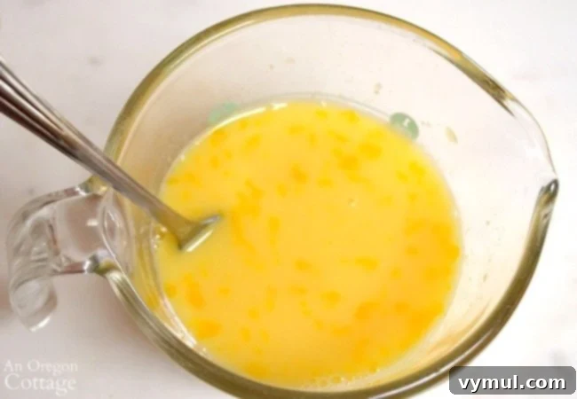 Zesty Orange Cranberry Whole Wheat Delight 5 Cranberry Bread Recipe-mixing wet ingredients