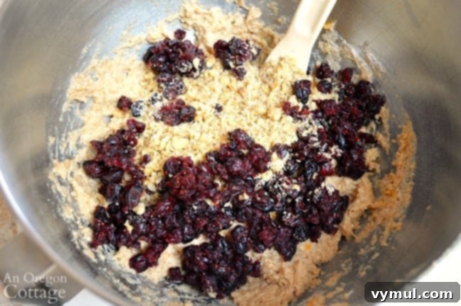 Zesty Orange Cranberry Whole Wheat Delight 6 Cranberry Bread Recipe-mixing dough add-ins