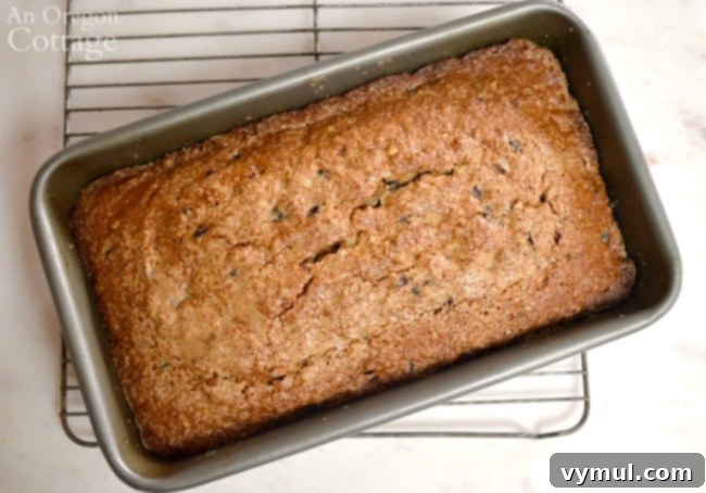 Zesty Orange Cranberry Whole Wheat Delight 7 Cranberry Bread Recipe baked in pan