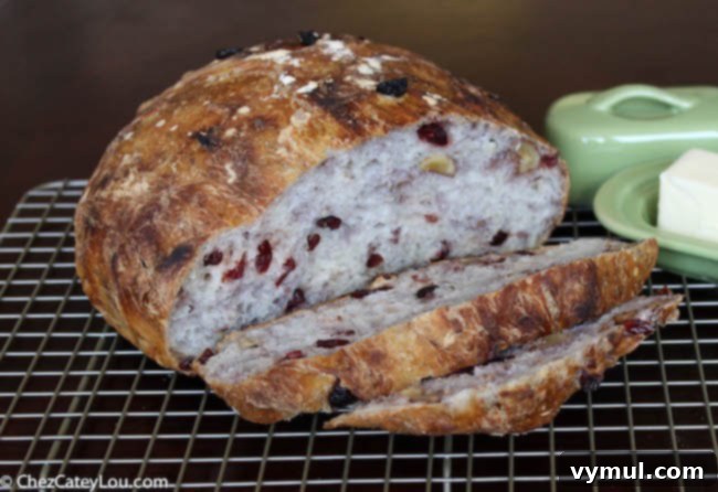 The Complete Collection of 17 Cranberry Bread Recipes Yeast Gluten-Free and Paleo 10 Cranberry Bread Recipes-no-knead cranberry walnut bread, an artisan-style yeast bread.
