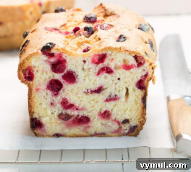 The Complete Collection of 17 Cranberry Bread Recipes Yeast Gluten-Free and Paleo 11 Cranberry Bread Recipes-Gluten Free Cranberry Bread, showing a light and airy texture.