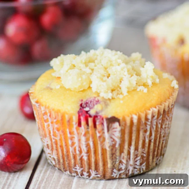 The Complete Collection of 17 Cranberry Bread Recipes Yeast Gluten-Free and Paleo 12 Cranberry Bread Recipes-Gluten Free Orange Cranberry Muffins, a healthy and delicious option.