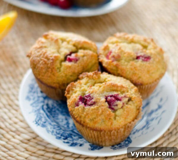 The Complete Collection of 17 Cranberry Bread Recipes Yeast Gluten-Free and Paleo 13 Cranberry Bread Recipes-cranberry orange muffins on plate, showing paleo-friendly options.