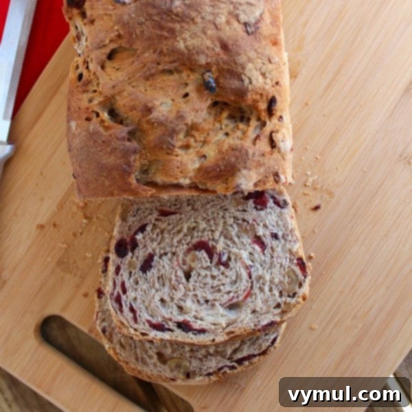 The Complete Collection of 17 Cranberry Bread Recipes Yeast Gluten-Free and Paleo 16 Cranberry Bread Recipes-cranberry walnut oat bread, a hearty and wholesome yeast bread.