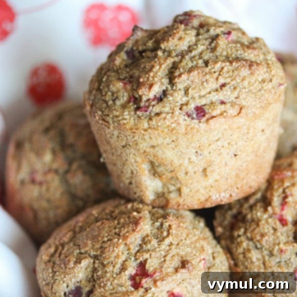 The Complete Collection of 17 Cranberry Bread Recipes Yeast Gluten-Free and Paleo 17 Cranberry Bread Recipes-cranberry-pumpkin-muffin, a perfect fall combination.