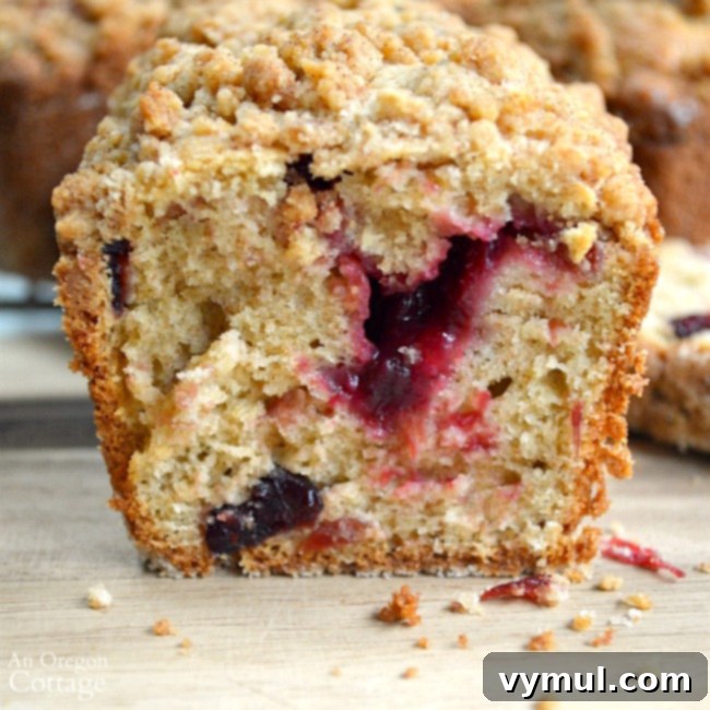 The Complete Collection of 17 Cranberry Bread Recipes Yeast Gluten-Free and Paleo 4 Cranberry Bread Recipes-Cranberry Crumb Loaves with cranberry sauce center, ideal for gifting.