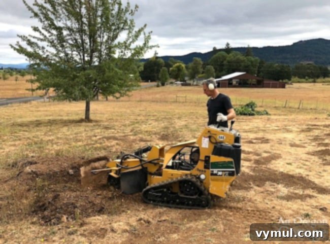 Autumn's Canvas: Mastering Machinery, Boulders, and Seasonal Sweetness 3 podcast ep.44-using a rented stump grinder
