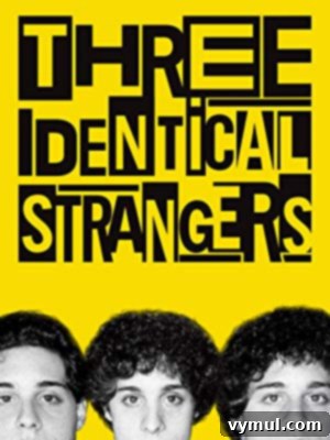 Autumn's Canvas: Mastering Machinery, Boulders, and Seasonal Sweetness 9 three identical strangers cover