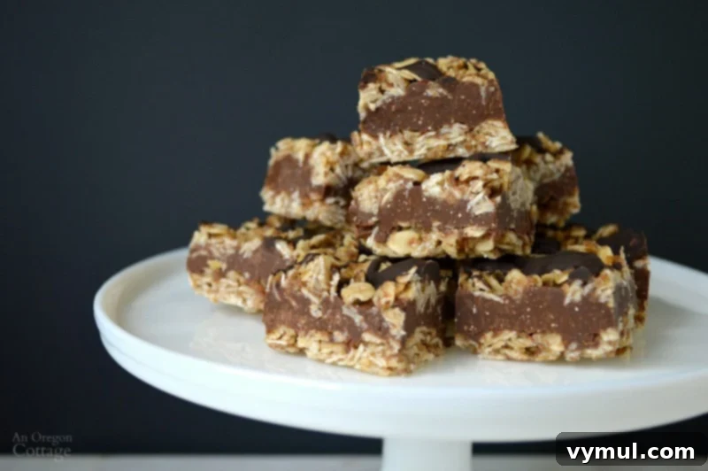 Savor the Sweetness, Skip the Sugar 12 Healthy No-Bake Fudge Oatmeal Bars