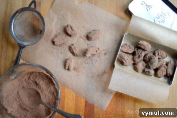 Savor the Sweetness, Skip the Sugar 14 Healthy Homemade Chocolate Covered Pecans in Gift Tin