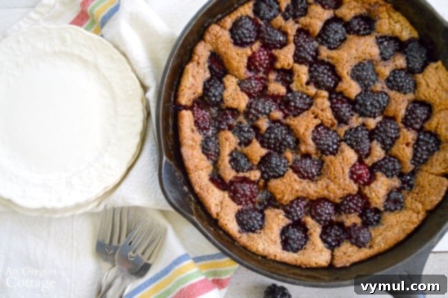 Savor the Sweetness, Skip the Sugar 3 Whole Wheat Skillet Blackberry Cobbler