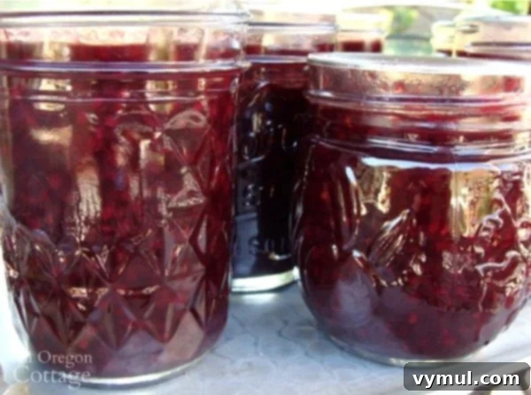 Savor the Sweetness, Skip the Sugar 7 Low Sugar Canned Berry Syrup And Topping