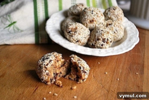 Savor the Sweetness, Skip the Sugar 8 Chocolate Chip Granola Bites and Variations