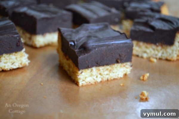 Effortless Homemade Cookies 7 Grain Free Almond Chocolate Truffle Bars