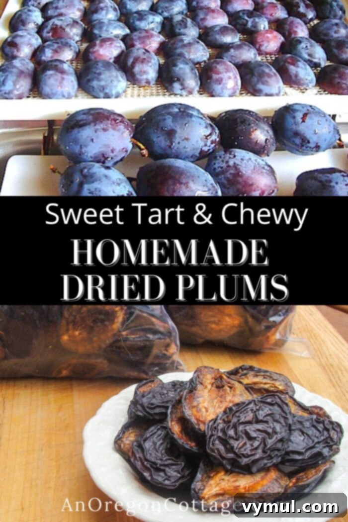 homemade dried plums