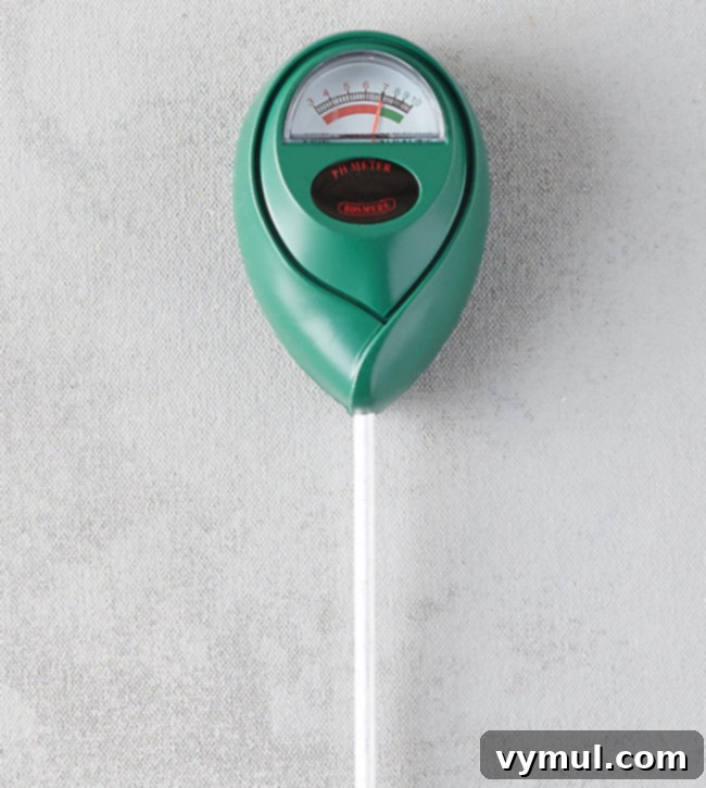 Soil pH Meter