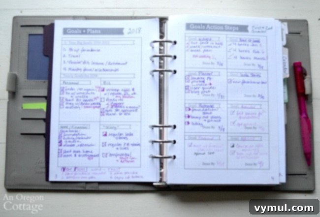 How I Use The Flexible Planner-goals