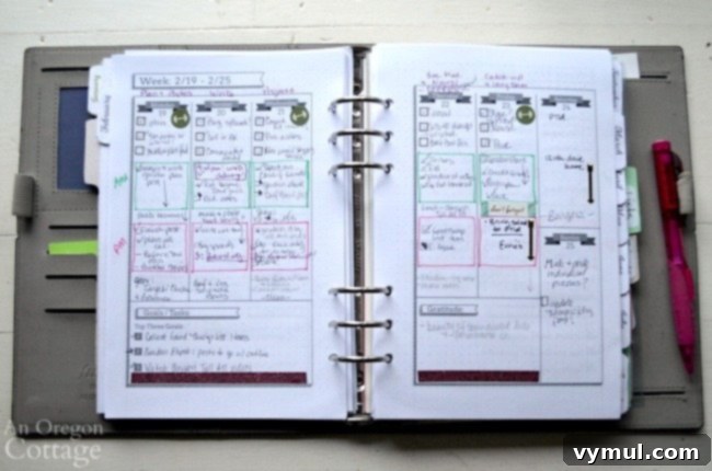 How I Use The Flexible Planner-weekly AM-PM
