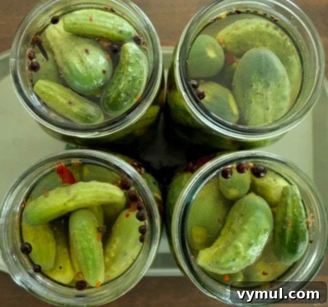 Quick Refrigerator Garlic Dill Pickles - packed with brine from An Oregon Cottage