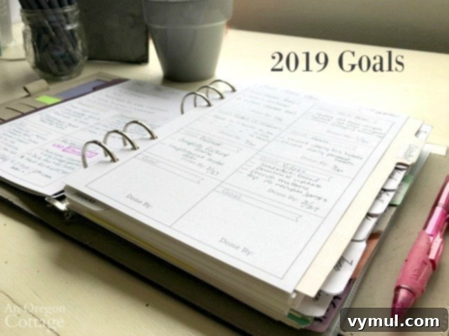 Flexible Planner Goal Action pg-2019 - Planning for Future Success