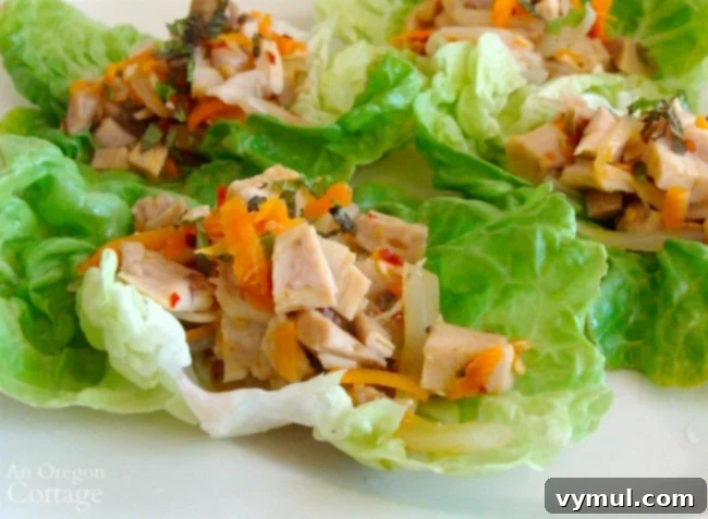 Sixty Plus Fast Healthy Recipes for Simple Meal Prep 13 Appetizing Chicken-Lime Lettuce Wraps, featuring savory chicken in crisp lettuce cups, a perfect quick dinner with rotisserie chicken.