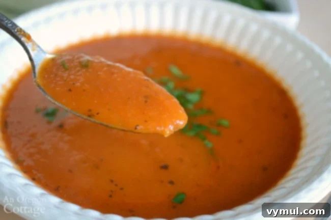 Sixty Plus Fast Healthy Recipes for Simple Meal Prep 5 A spoonful of rich, homemade tomato soup, hinting at its delicious, fresh flavor.