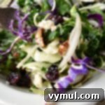 Kale Cranberry Salad with feta and pecans served