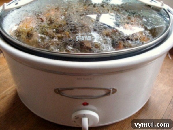 Chicken Broth-in-slow-cooker