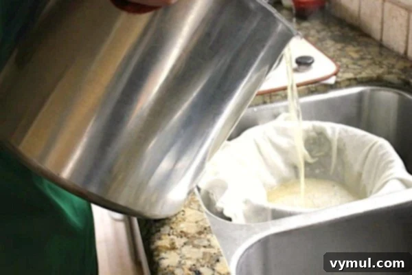 Pressure canner chicken stock-straining stock