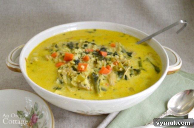 American Paper Towel Obsession 7 Curried turkey and rice soup, a delicious and easy meal