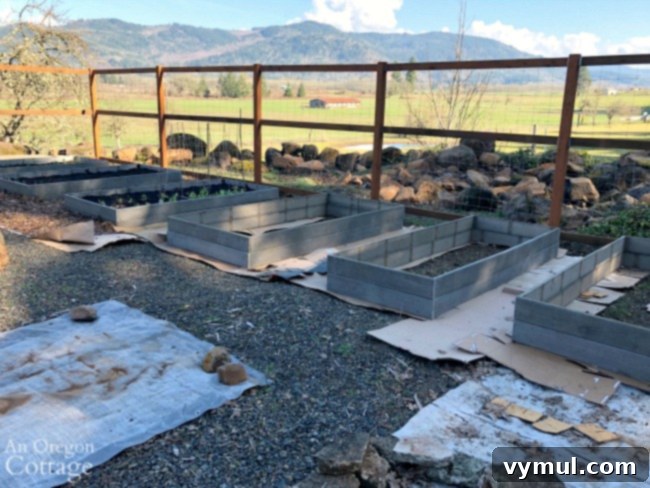 The Ultimate Vegetable Garden Blueprint 5 Three raised vegetable beds in progress, filled and ready for planting.