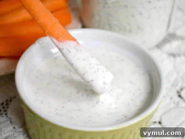 Velvety Garlic Pepper Dressing 6 Best Homemade Ranch Dressing and dip