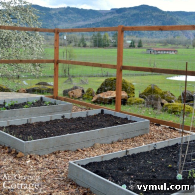 Grow Green Live Easy 21 Organic Gardening Secrets 3 Raised bed vegetable garden in April showing healthy young plants