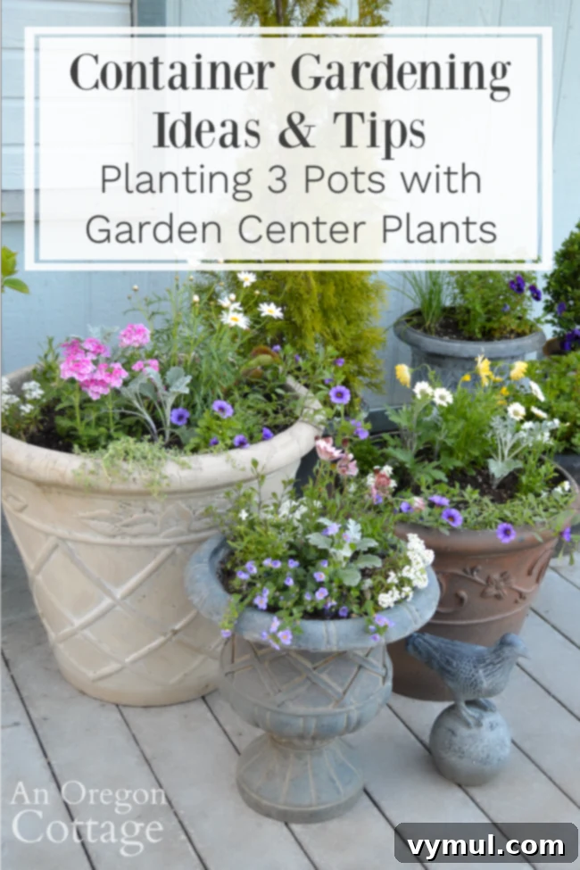 3 Genius Container Gardening Ideas and Must-Know Tips 2 Container Gardening Ideas for Sun